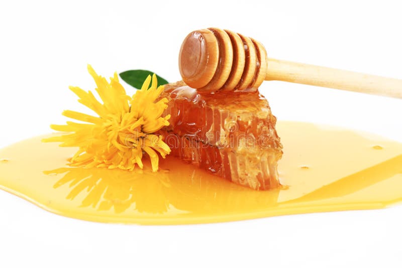 Floral Honey in in and Flowers Stock Image Image of