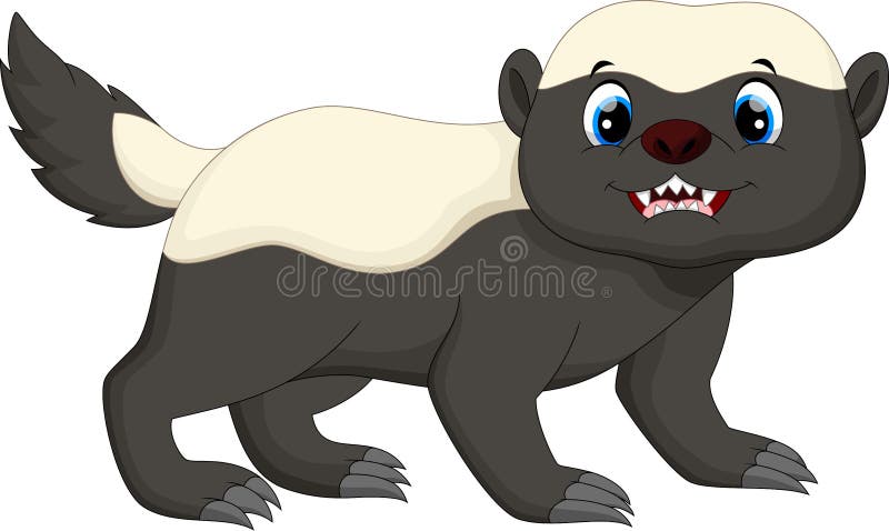 Honey Badger Mascot stock illustration. Illustration of cartoon - 30459985