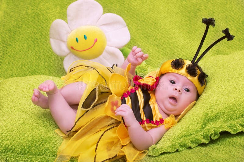 Honey Bee Baby royalty free stock images Honey Bee Baby royalty free stock images