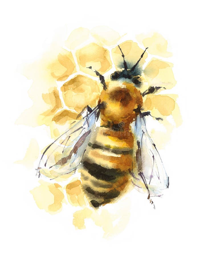 Honey Bee på den drog handen för honungskakavattenfärgillustration