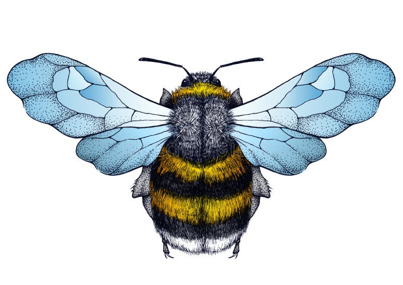 40 BuZZin Bee Tattoo Designs and Ideas  TattooBlend