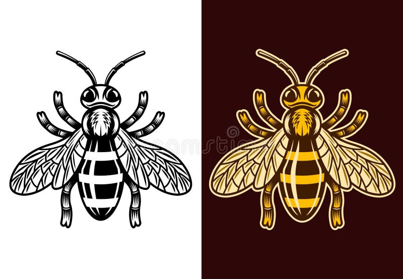 rijk Vulkanisch Theseus Honey Bee Two Styles Black and Colorful Vector Stock Vector - Illustration  of honey, design: 192459217