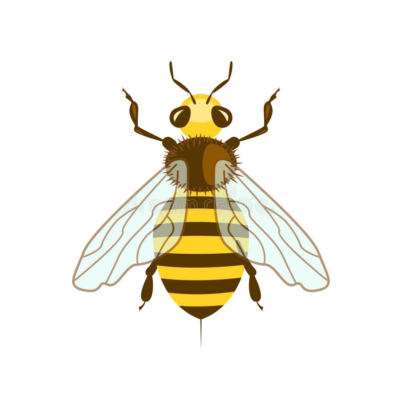 Honey Bee in vlak ontwerp royalty-vrije illustratie Honey Bee in vlak ontwerp royalty-vrije illustratie