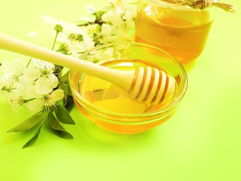 Honey, Cherry Blossoms on a Colored Background Stock Image Image of