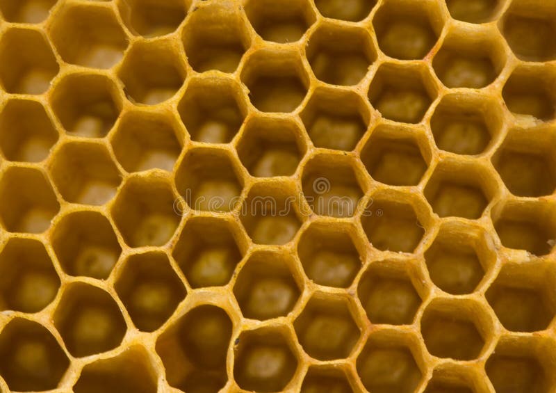 Honey comb