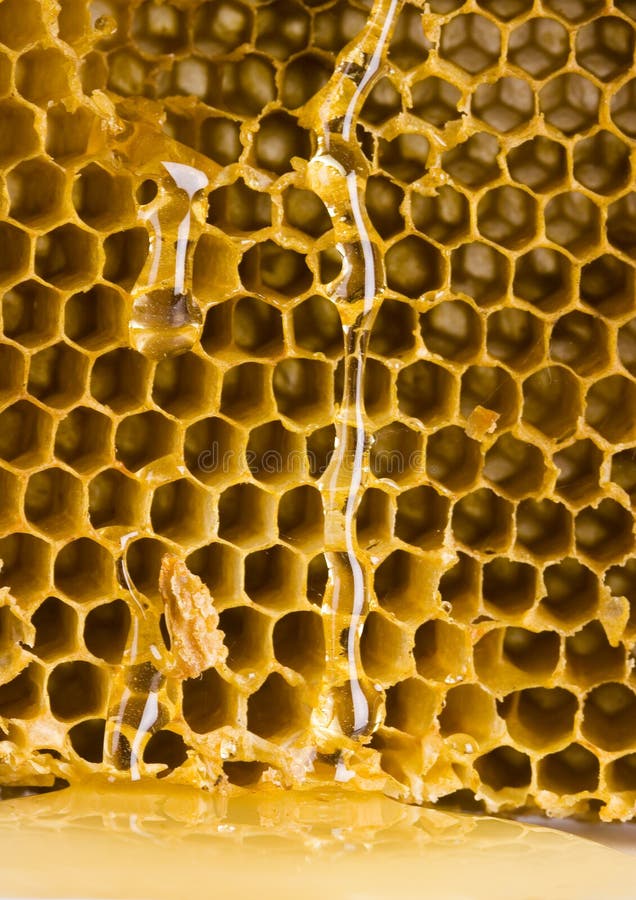 Honey comb