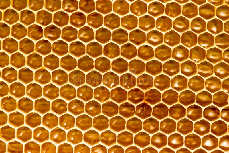 Honey Comb With Honey As A Background Stock Photo - Image of pattern
