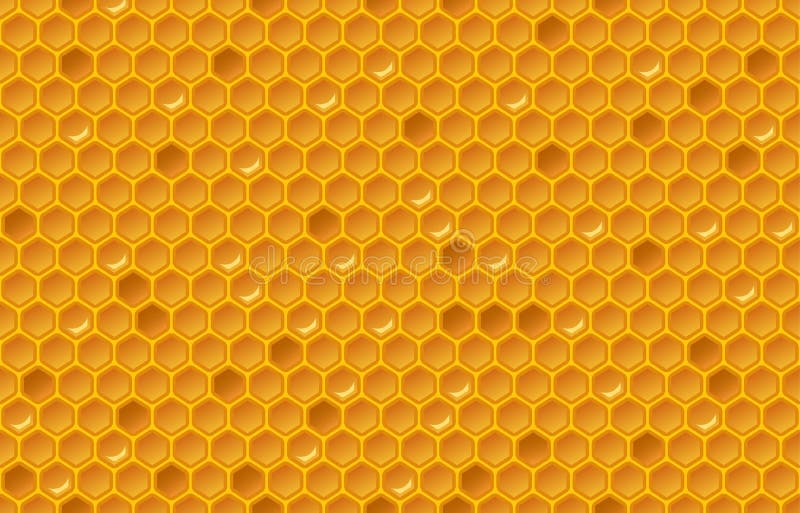 Honey comb pattern vector illustration