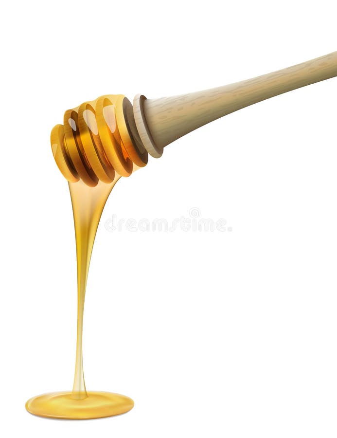 Honey dipper with bee on white background vector illustration