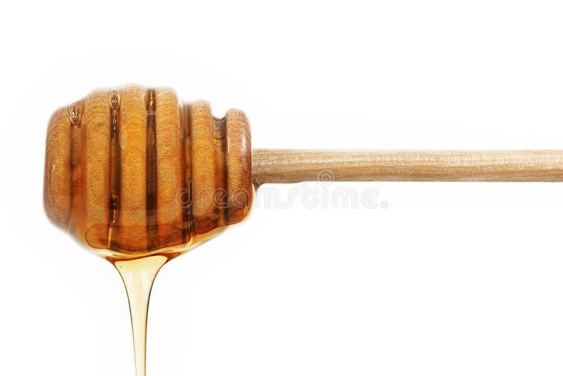Honey Dipper Dripping Honey