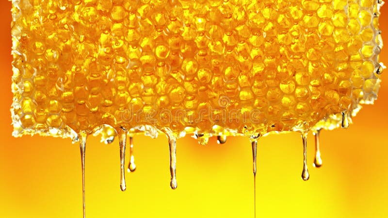 Honey Dripping From Honey Comb On Golden Background Stock Image Image