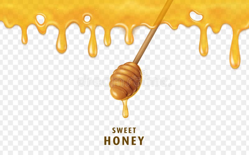Honey dripping from top stock vector. Illustration of strategy - 81455794