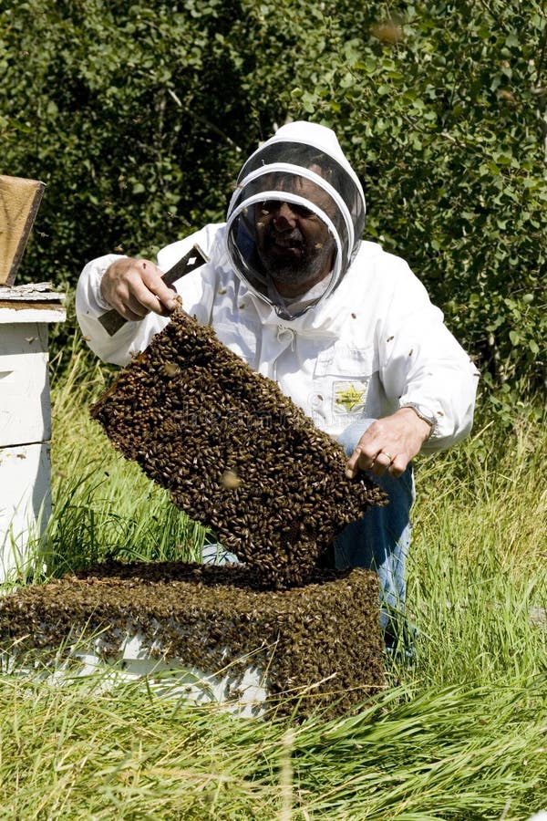 Honey Farmer