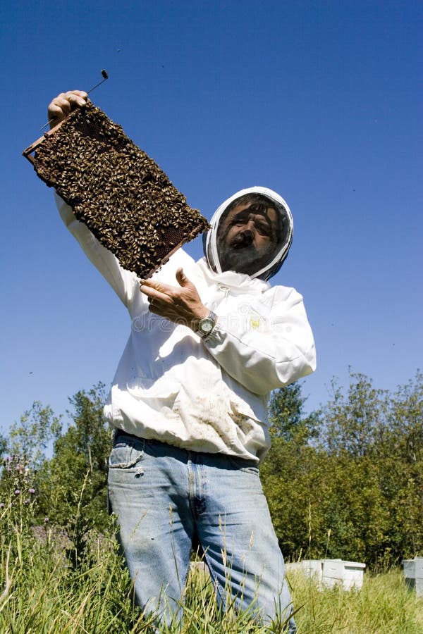 Honey Farmer