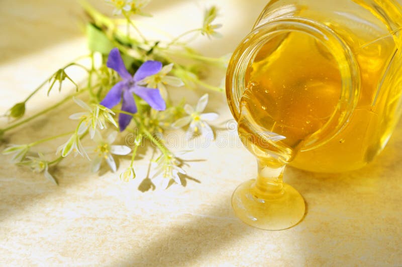 Honey flow stock photo. Image of keeping, dense, cook 15239030