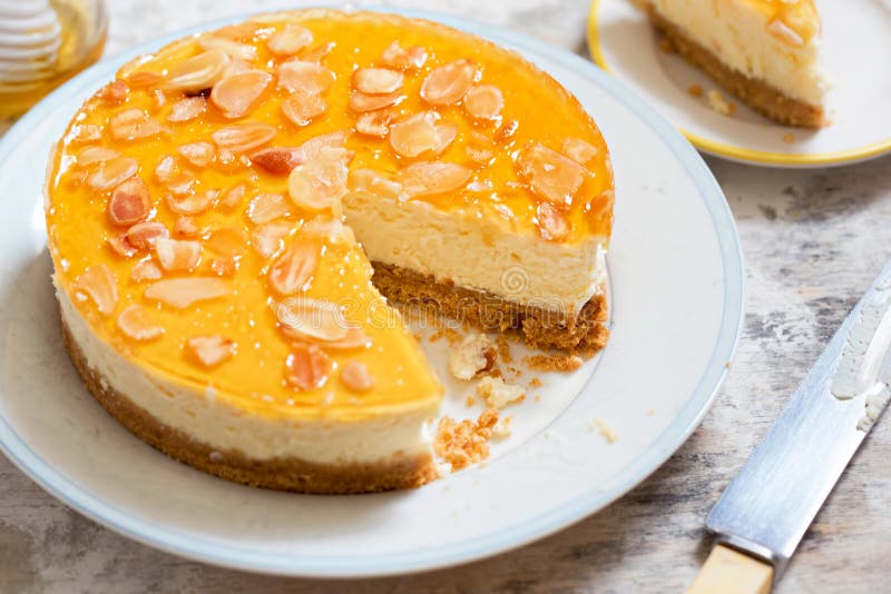Honey and Greek Yoghurt Cheesecake Stock Photo Image of mascarpone