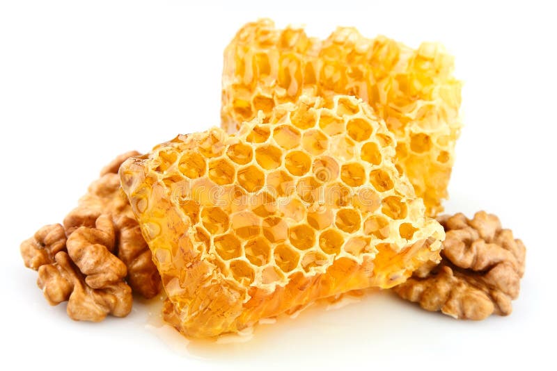 Honey honeycombs with a walnut