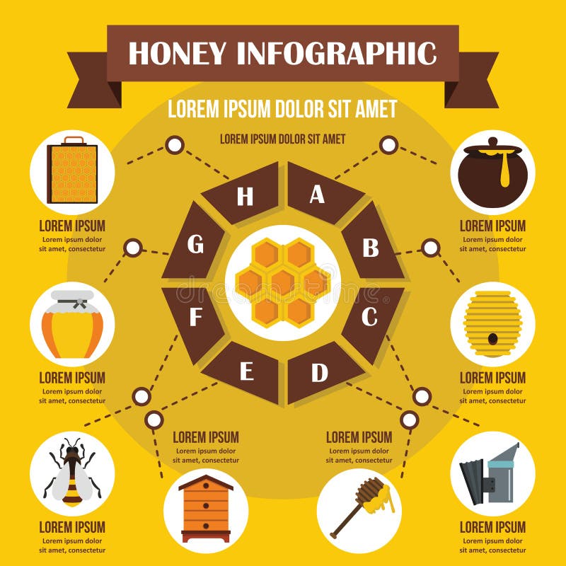 Honey infographic concept, flat style stock illustration