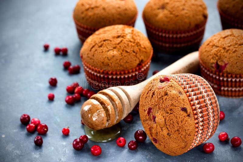 Honey muffins with cranberries