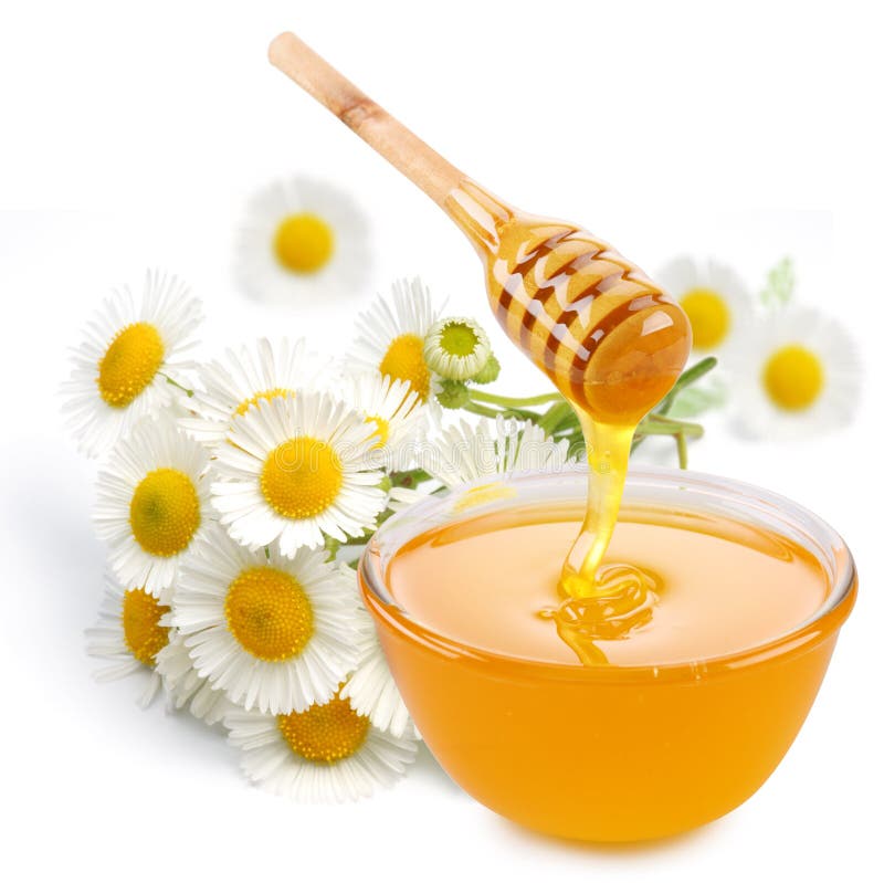 Honey pours with sticks in a jar. Flowers are near. on white background.