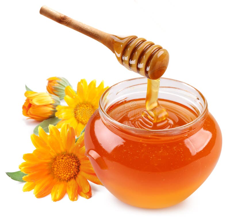 Honey Wallpaper HD APK for Android Download