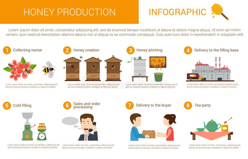 Honey Processing Flow Chart