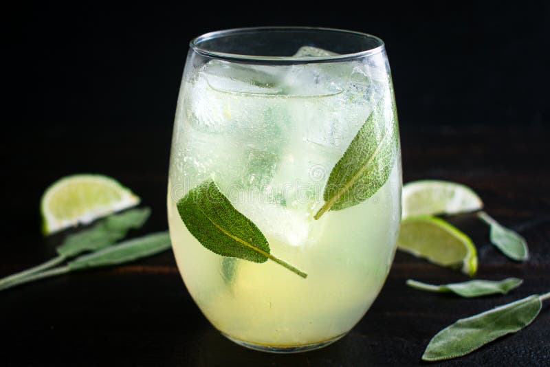 Honey Sage Gimlet Cocktail stock image. Image of green 216937067