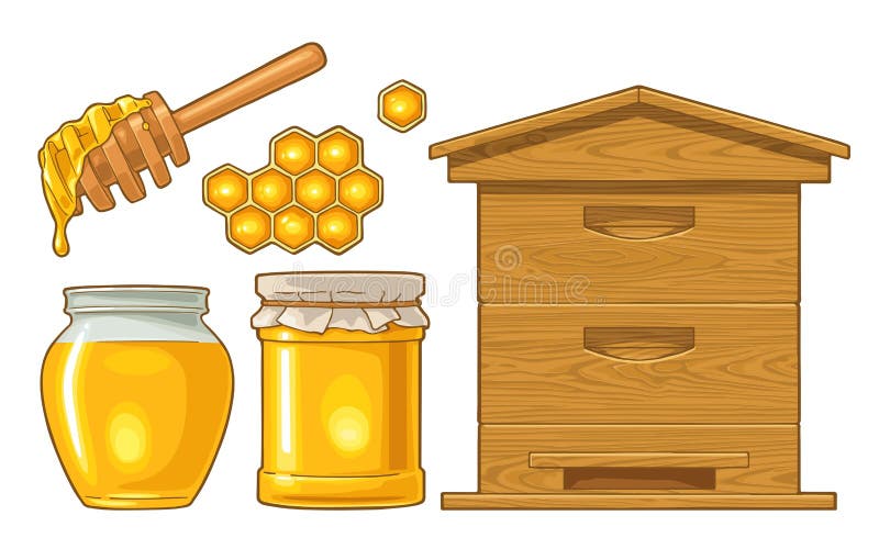 Honey set. Jars, hive and honeycomb. Vector color illustration royalty free illustration
