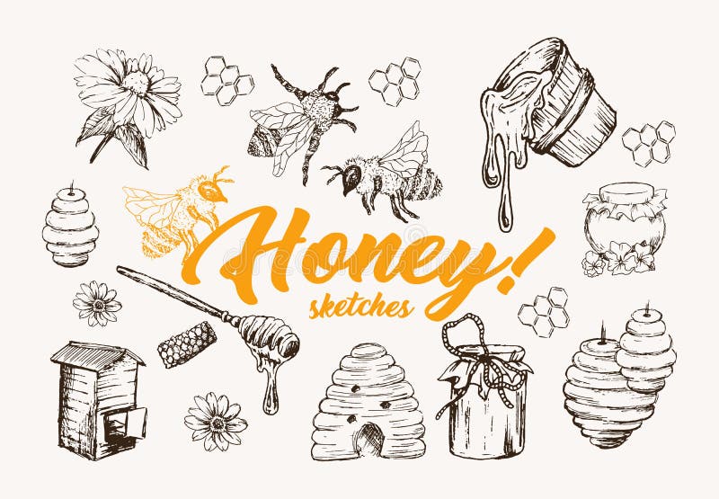Honey Sketches Set, alveare, Honey Jar, barilotto, dà l'illustrazione a cucchiaiate disegnata a mano di vettore illustrazione di stock Honey Sketches Set, alveare, Honey Jar, barilotto, dà l'illustrazione a cucchiaiate disegnata a mano di vettore illustrazione di stock