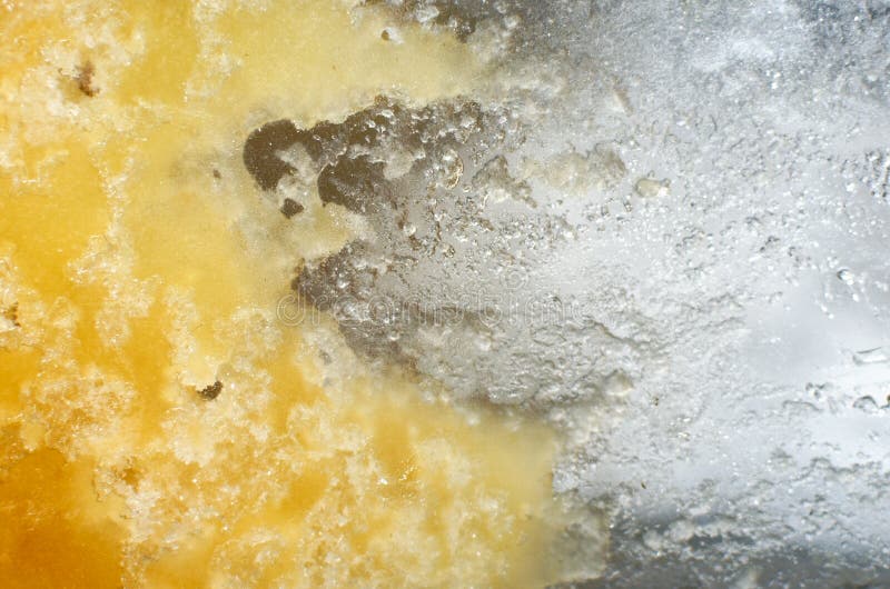 Honey Stains Isolated on White. Spots. View Top Stock Photo Image of