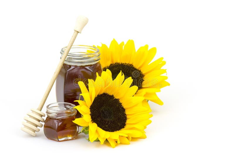 Honey & Sunflowers stock photo. Image of natural, white 18647768