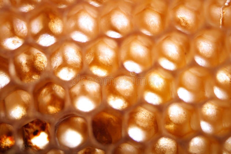 Honey texture