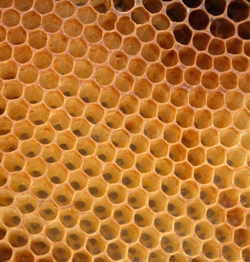 Honey texture without honey