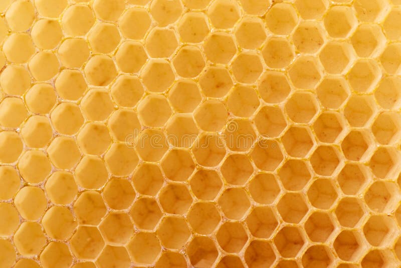 Honey in comb stock image. Image of medicine, closeup - 39388837