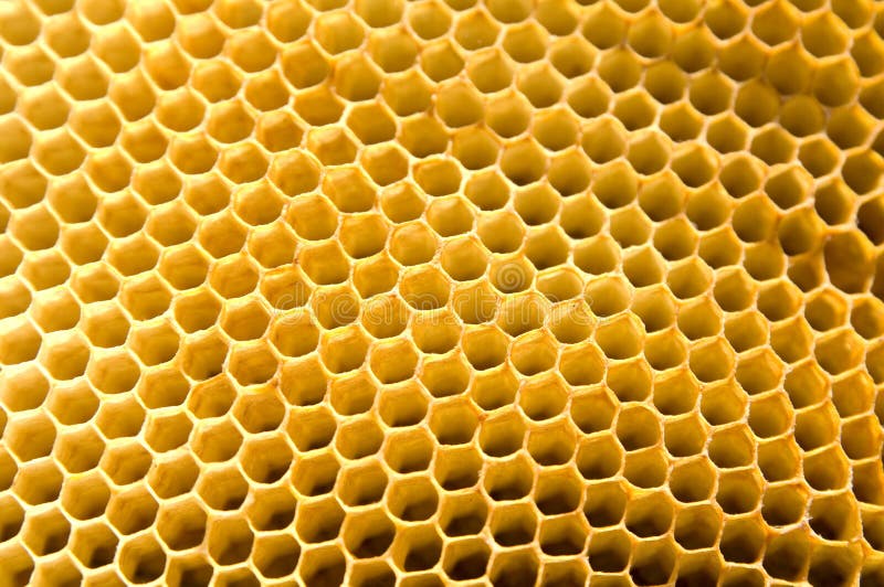 66,361 Photos Free & RoyaltyFree Stock Photos from Dreamstime