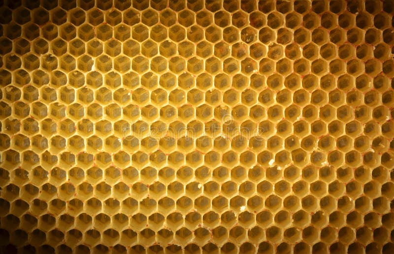Honeycomb background without honey