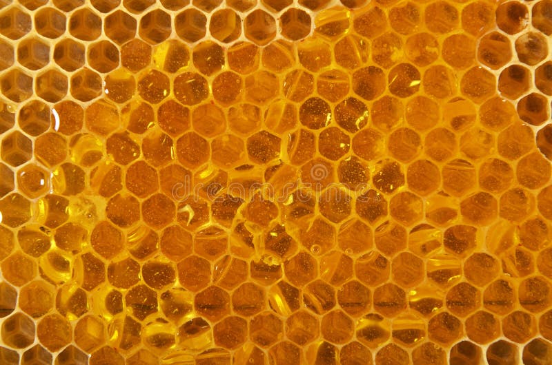 Honeycomb background with honey