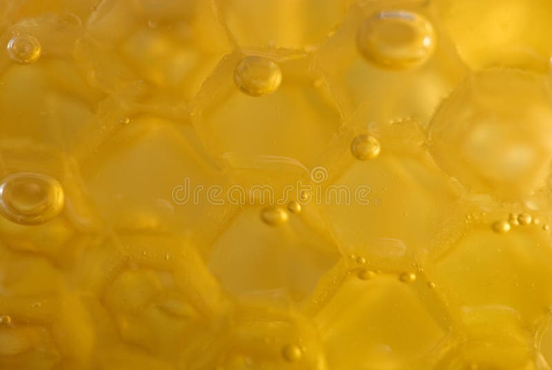 Honeycomb detail royalty free stock photos