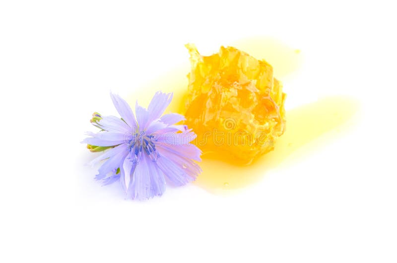 Golden And Flowers Stock Photo Image of closeup, honey