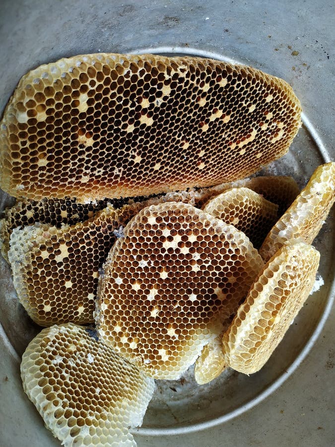 The honeycomb has dried up and failed to harvest