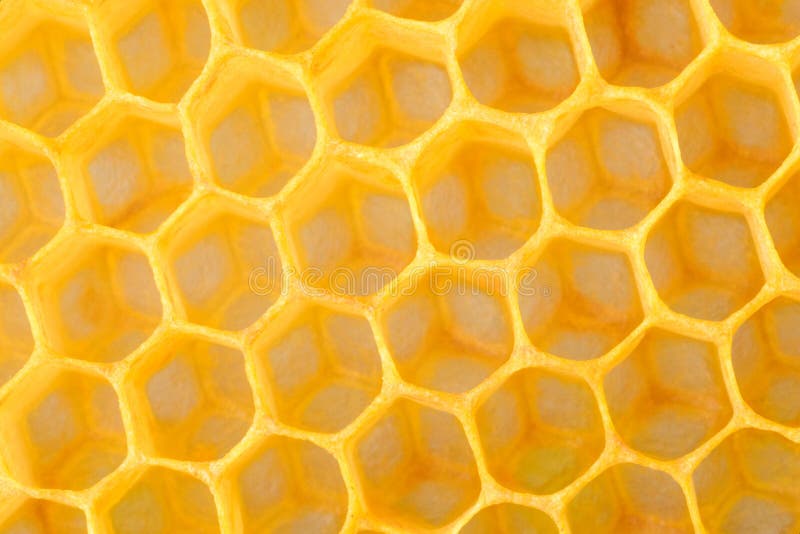 Honeycomb macro as a background. Beekeeping products. Apitherapy. stock images Honeycomb macro as a background. Beekeeping products. Apitherapy. stock images