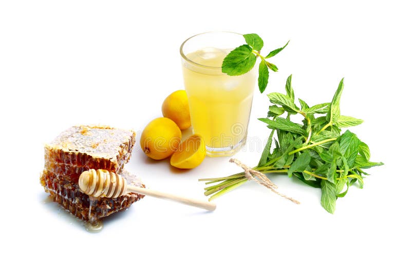 with mint stock photo. Image of spice, color 33907568