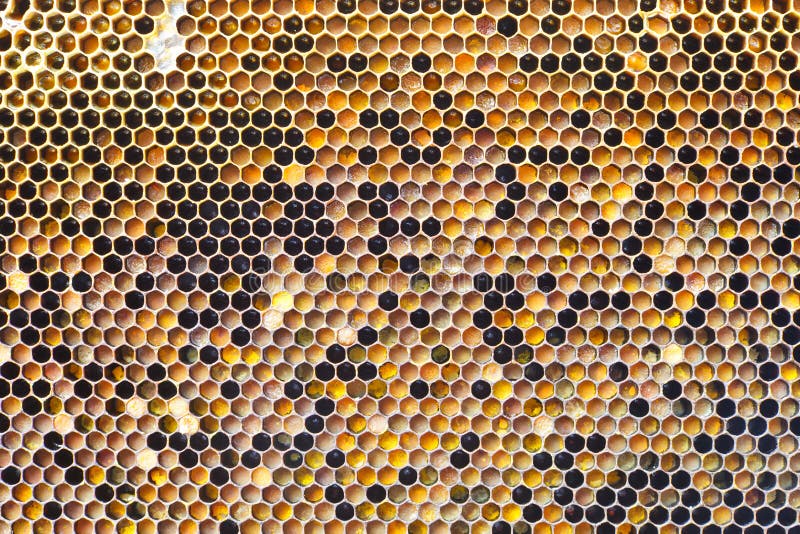 Honeycomb pattern