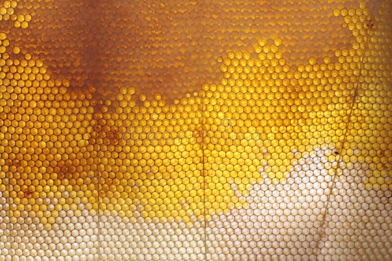 Honeycomb texture