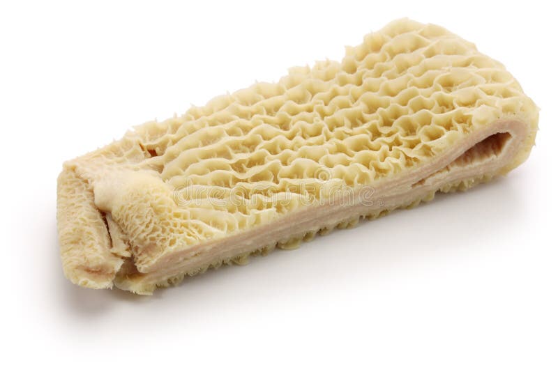 Beef Tripe Stock Image Image Of Tripe Piece Beef White 15488757 beef-tripe-stock-image-image-of-tripe-piece-beef-white-15488757
