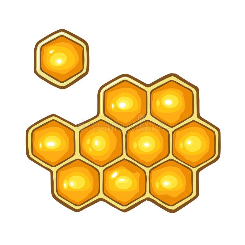 Honeycomb. Vector color illustration. Isolated on white background stock illustration