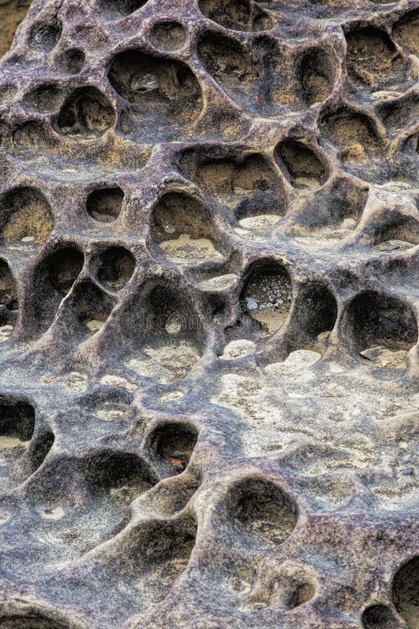 Honeycomb weathering patterns in the Yehliu Geopark, New Taipei, Taiwan, China royalty free stock image Honeycomb weathering patterns in the Yehliu Geopark, New Taipei, Taiwan, China royalty free stock image