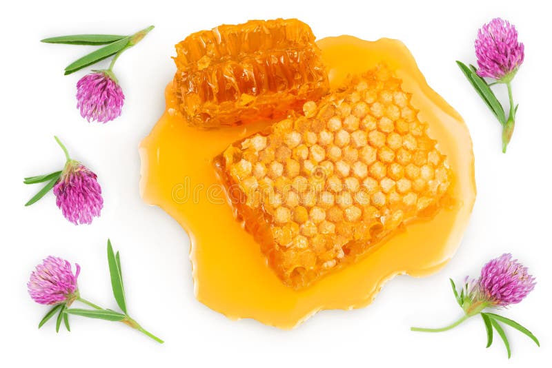 and Honey Puddle Isolated on White Background with Full