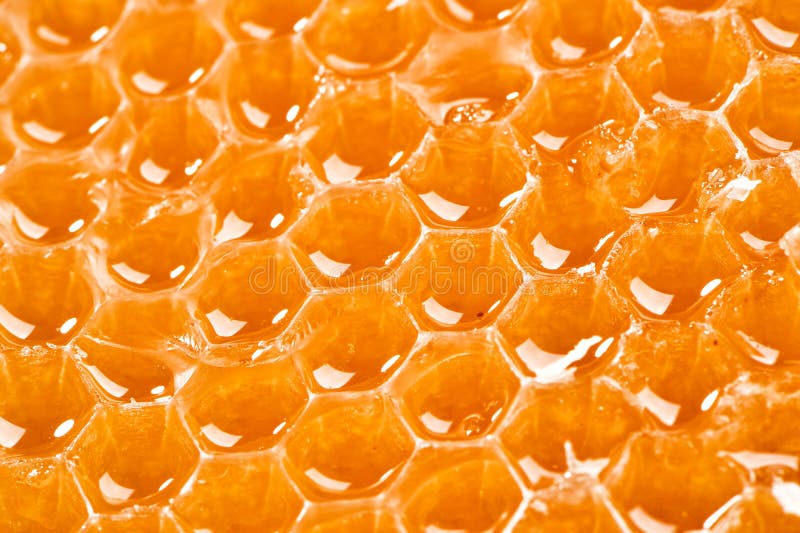 Honeycombs texture extreme close-up background stock photo