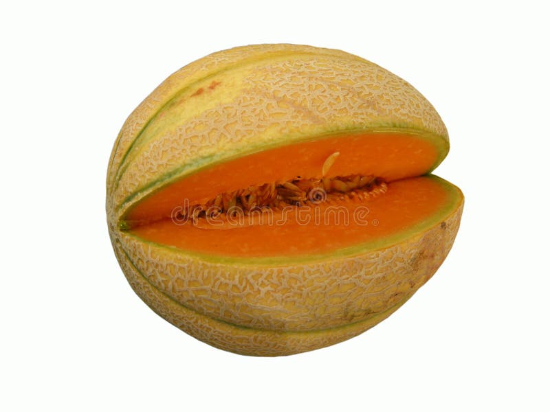 Honeydew melon